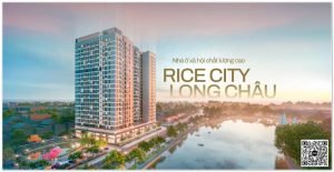 rice city long chau banner