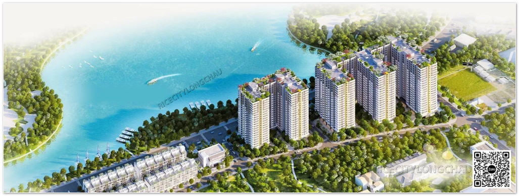 rice city long chau phoi canh